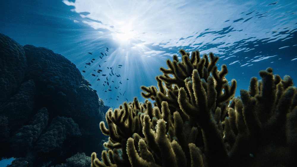 Ocean-Based Carbon Dioxide Draft Road Maps Open for Public Comment Through April 16